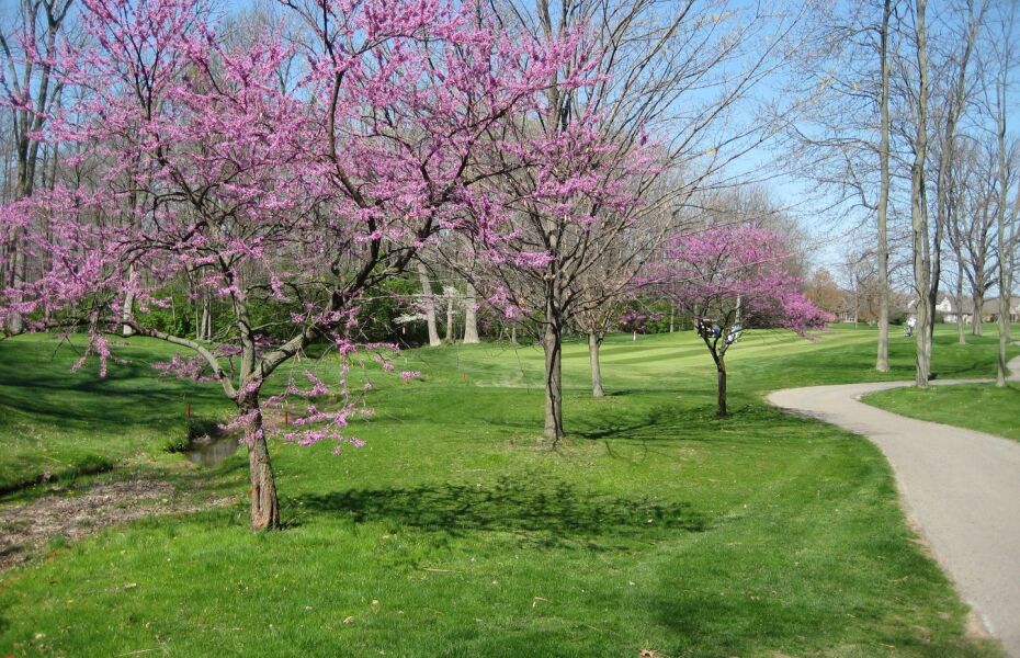 Golf Club at Yankee Trace Vintage Course in Centerville, Ohio, USA