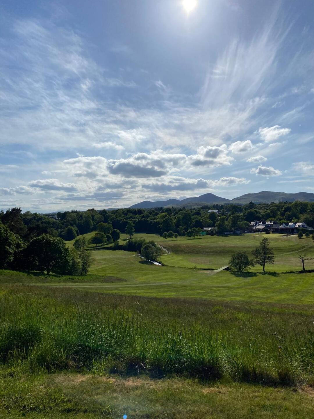 (Photo submitted by SparkyFraser74 on 06/09/2020)