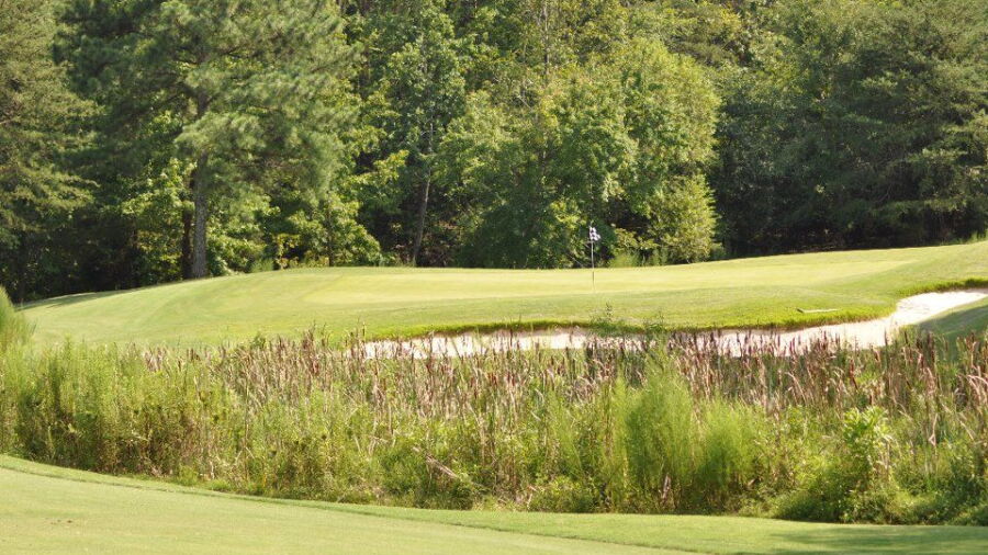 Tega Cay GC