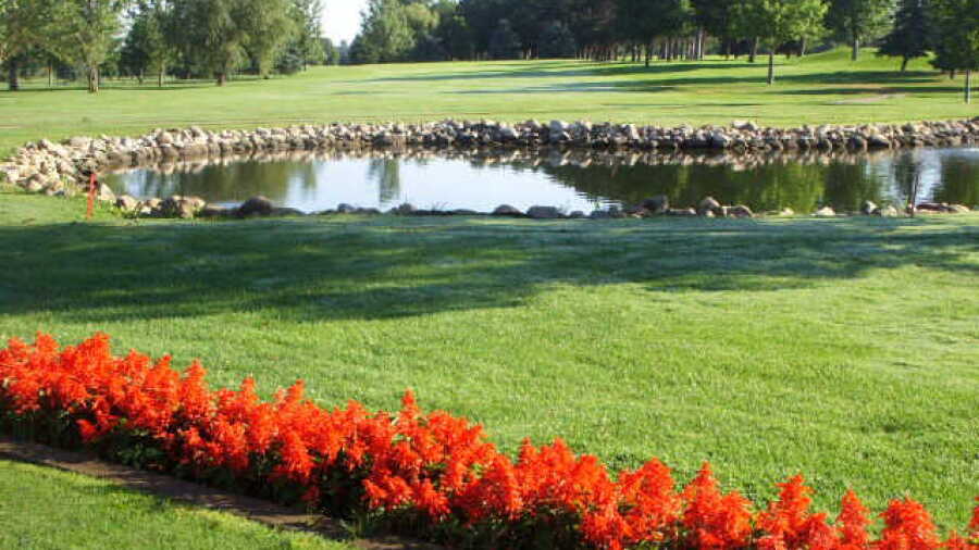 Meadowlark CC: #4