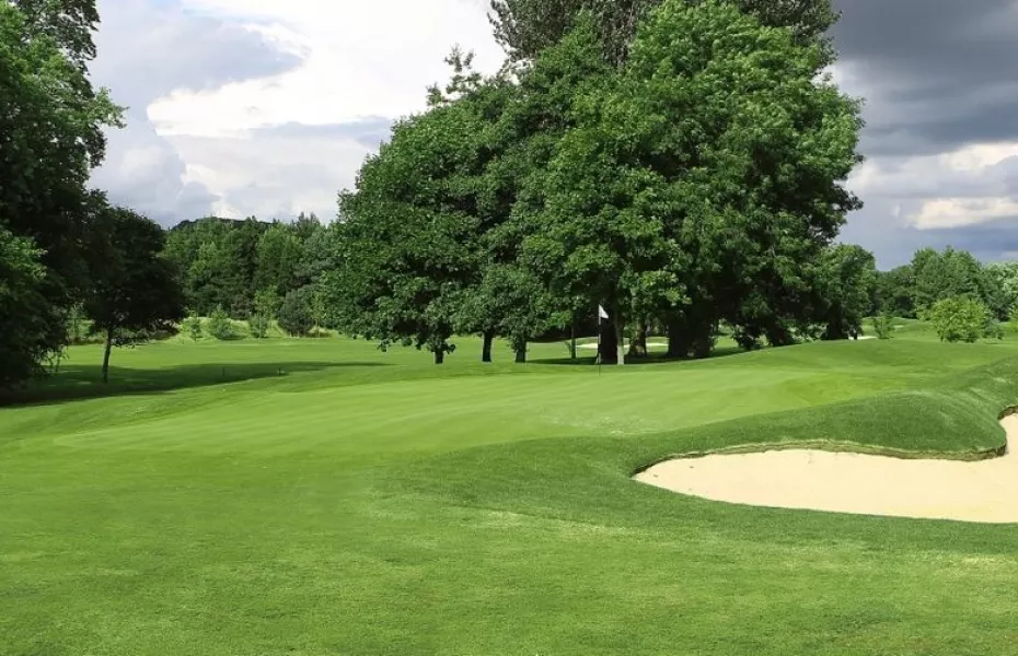 Close House Estate - Filly: #15