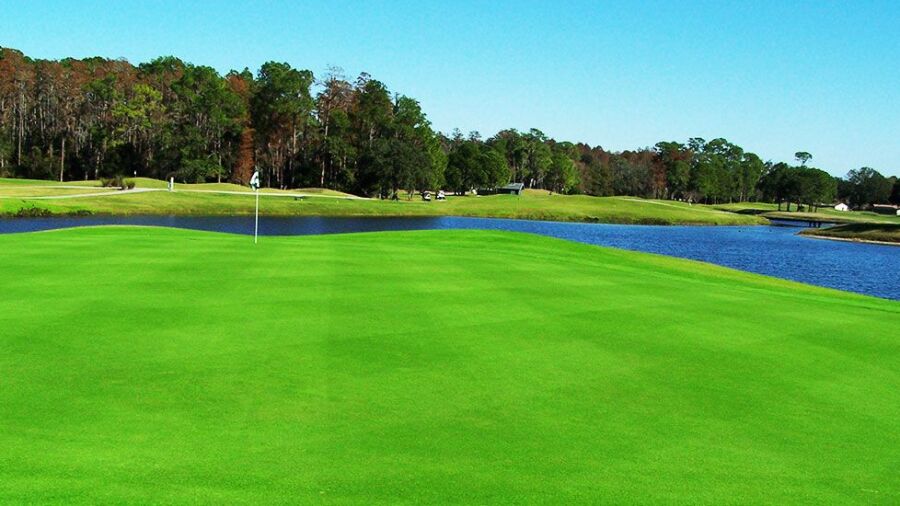 Lansbrook GC