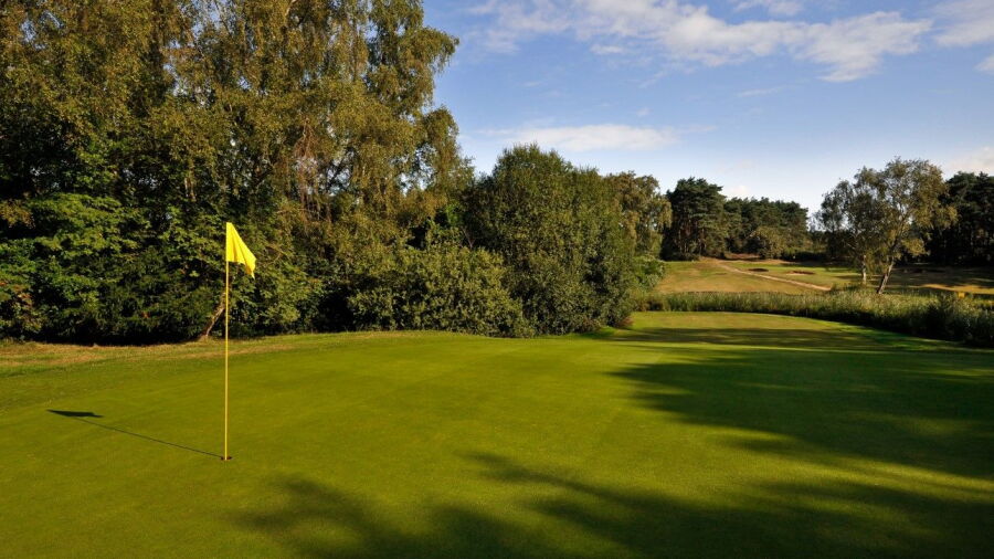  Bixley at Ipswich GC: #8