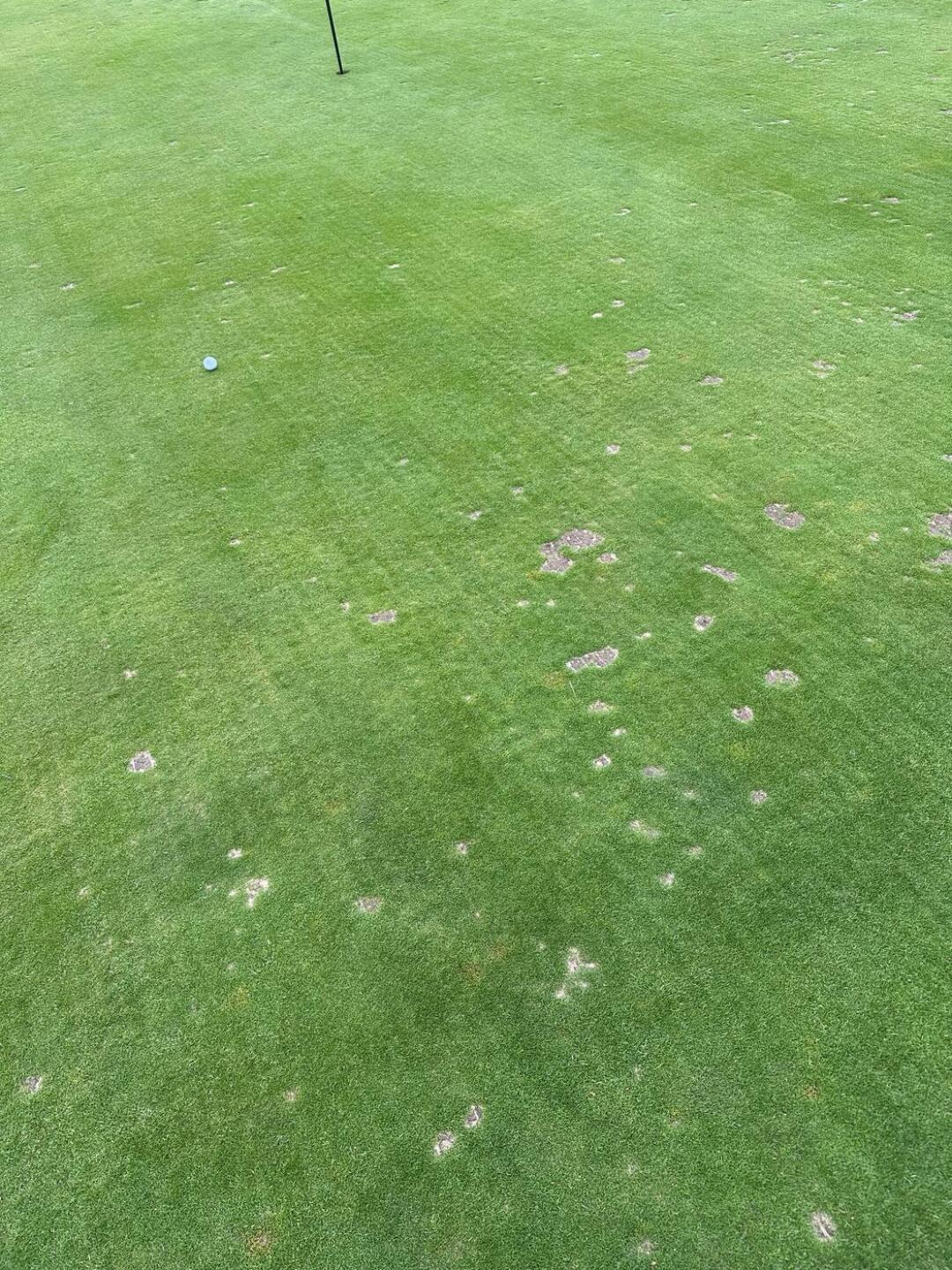 (Photo submitted by u314162265704 on 04/18/2025)