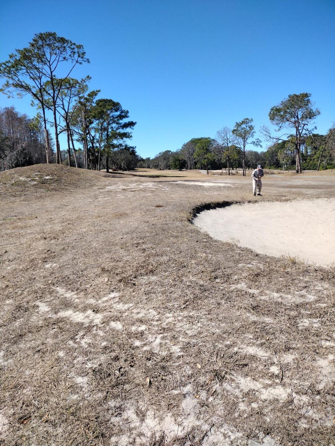 That' real (Photo submitted by gn23568461 on 02/08/2026)