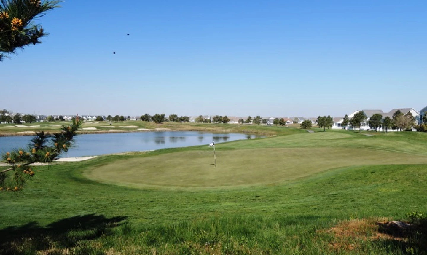 Bear Trap Dunes - Black Bear - No. 3