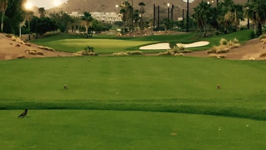 Ras Al Hamra GC