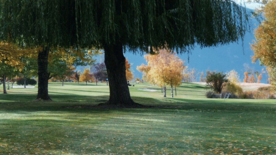 Hamilton GC: #11