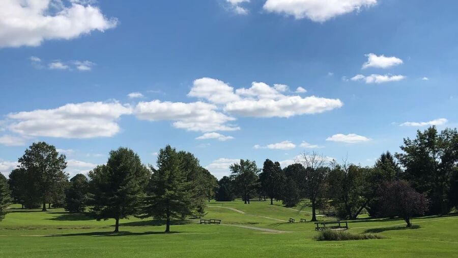 Tree Top GC
