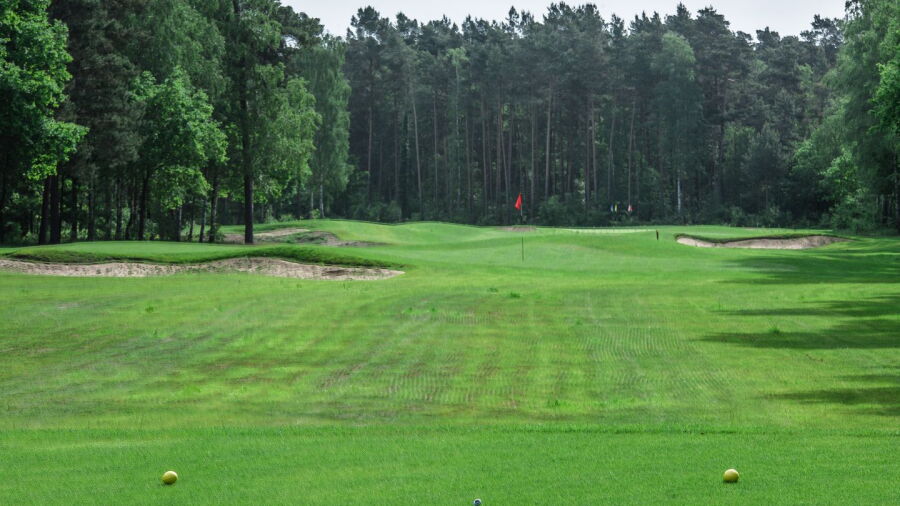 Burgdorfer GC - Short: #5