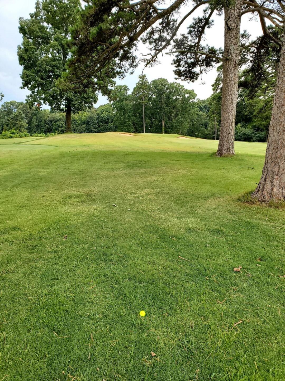 (Photo submitted by u000003790453 on 07/20/2024)