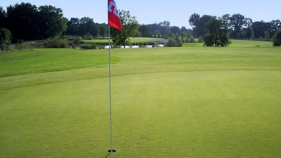Bremer Schweiz GC: #15