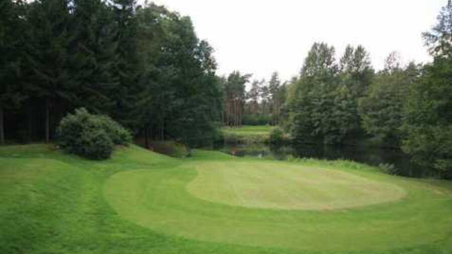 British Army GC Sennelager - Forest Pine: #12