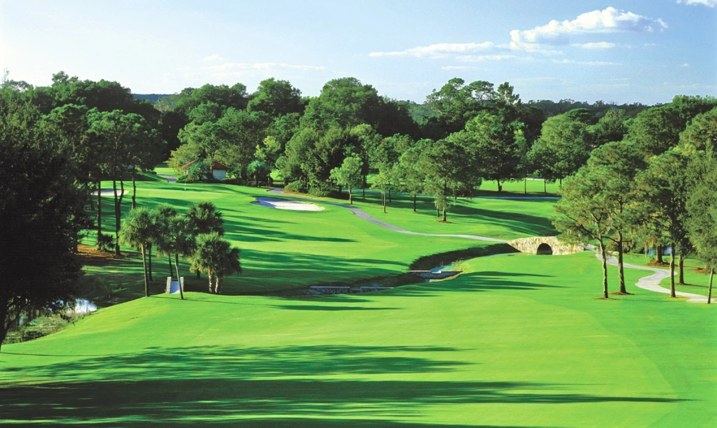 El Campeon golf course - Mission Inn - hole 7