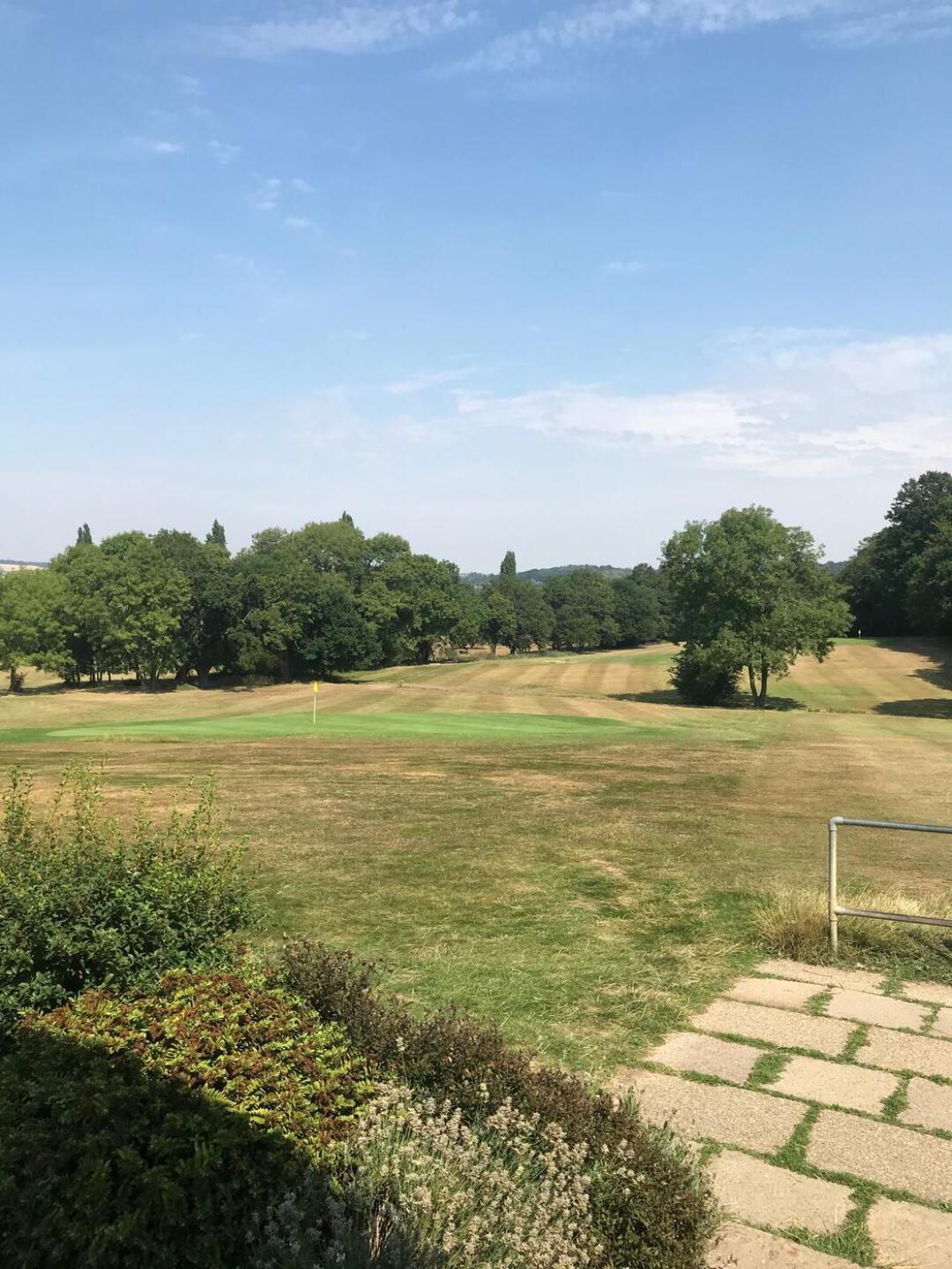 (Photo submitted by zS0vGTUebXgjxbRVnoPE on 08/11/2020)