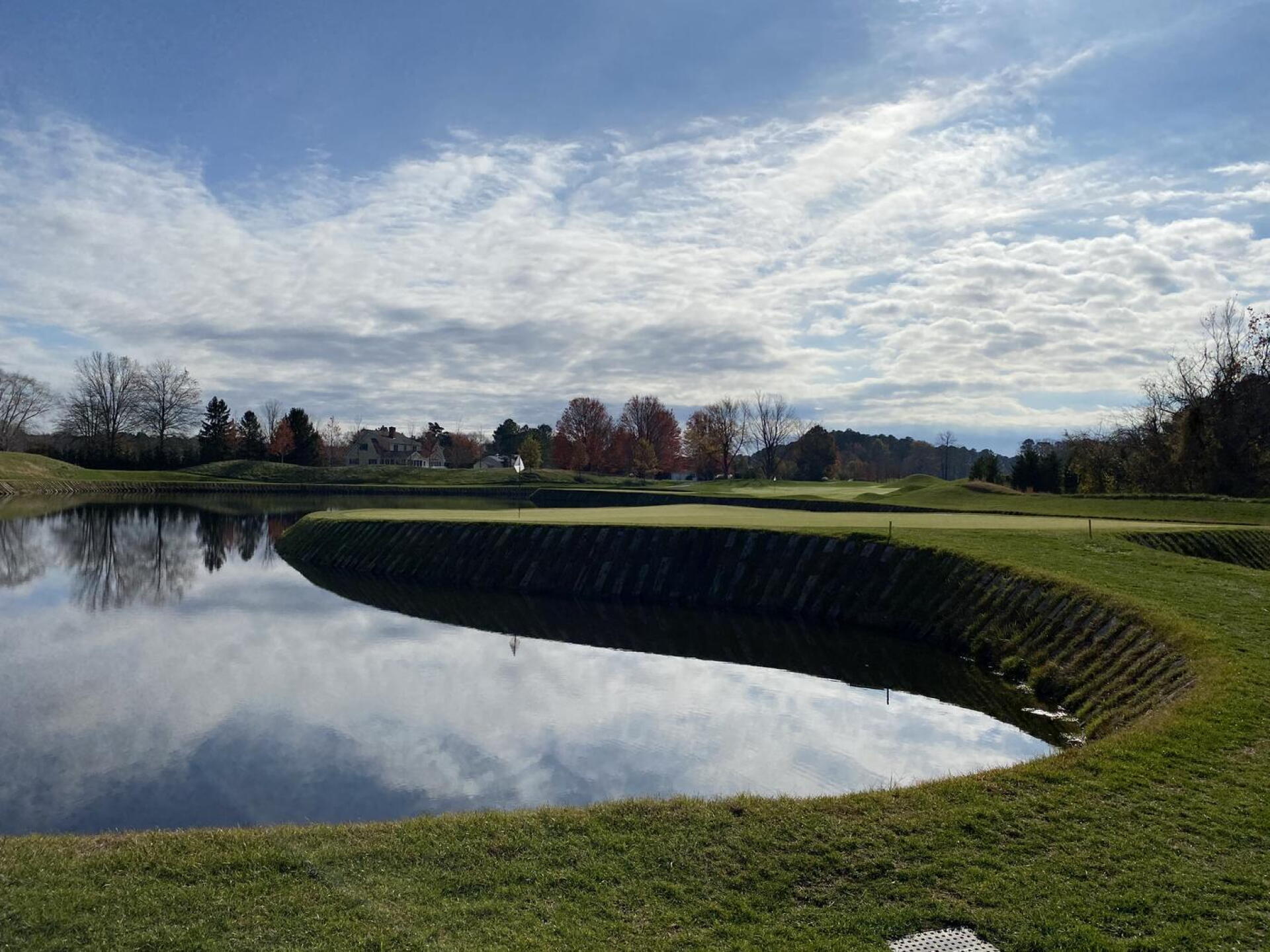 #17 (Photo submitted by Waltmoddison on 11/28/2020)