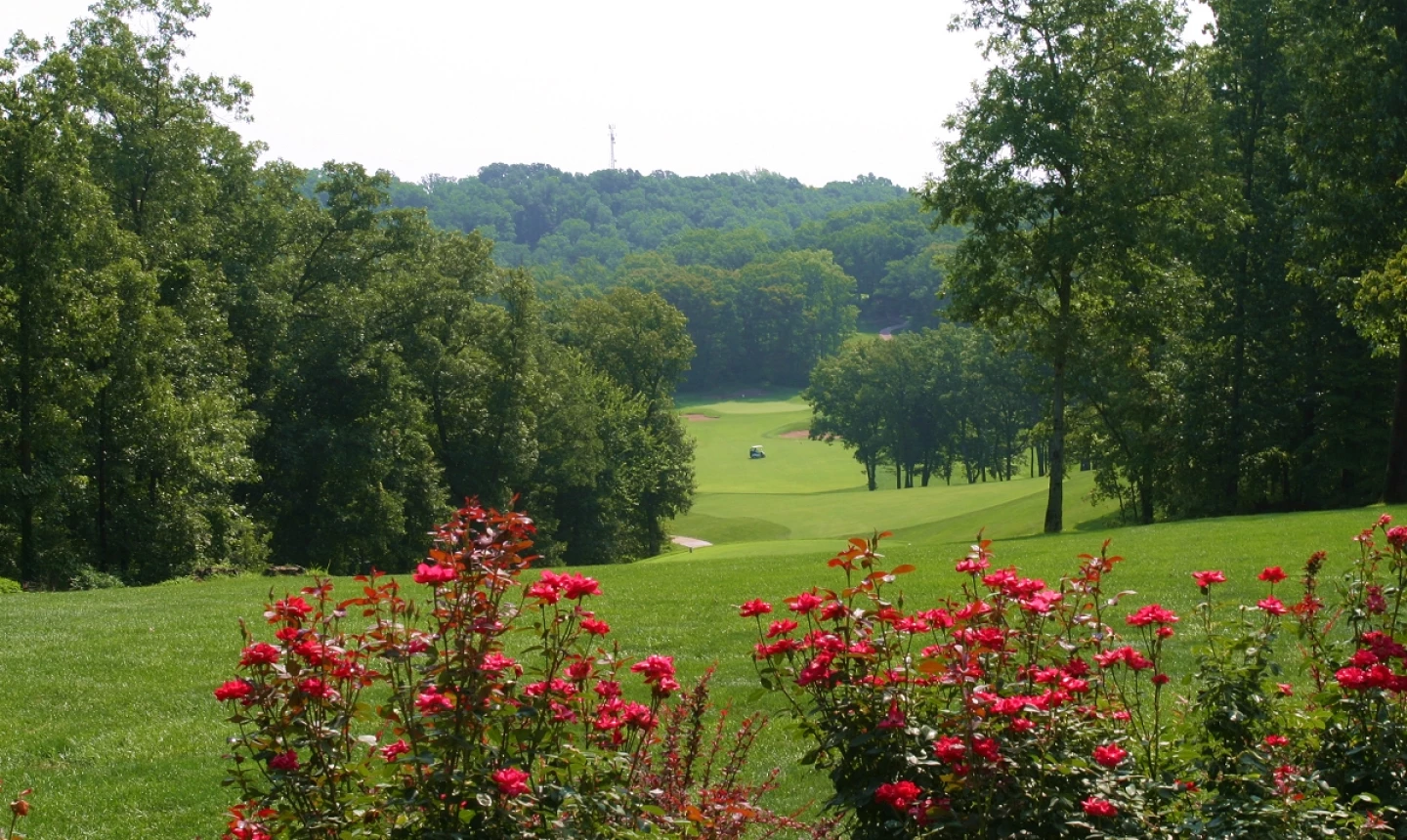 Bear Creek Valley golf course - hole 8 tee
