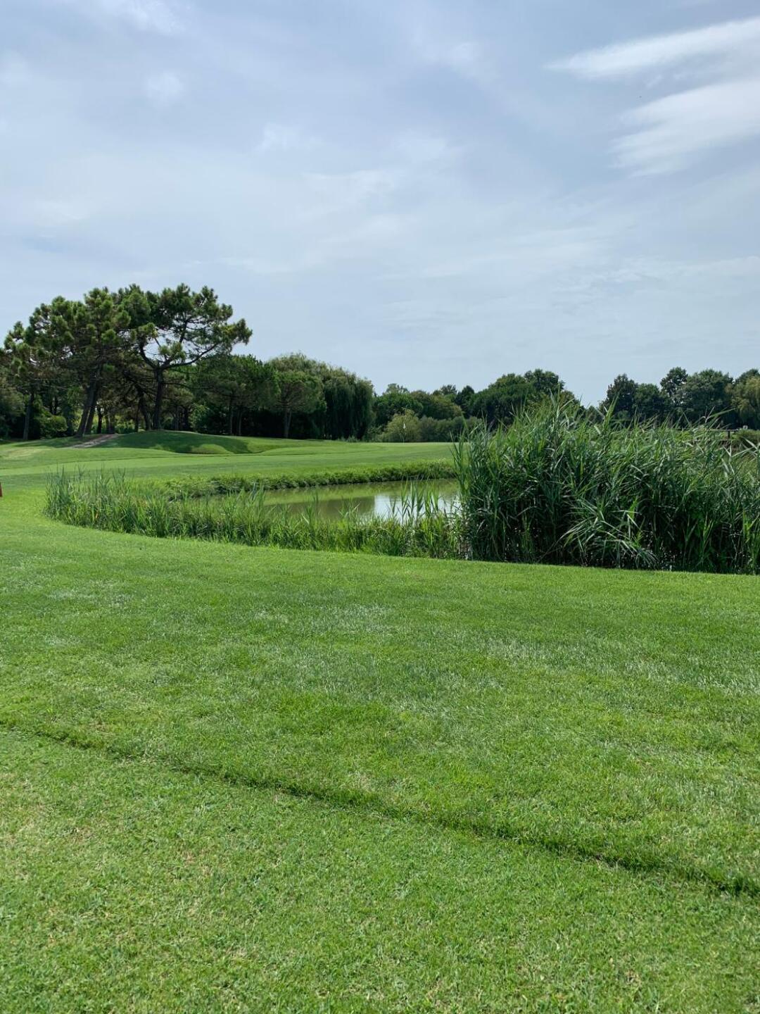 (Photo submitted by GDhcKsOPaT0mscRavymg on 08/23/2019)