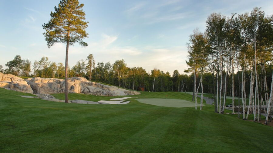 Frog's Breath GC