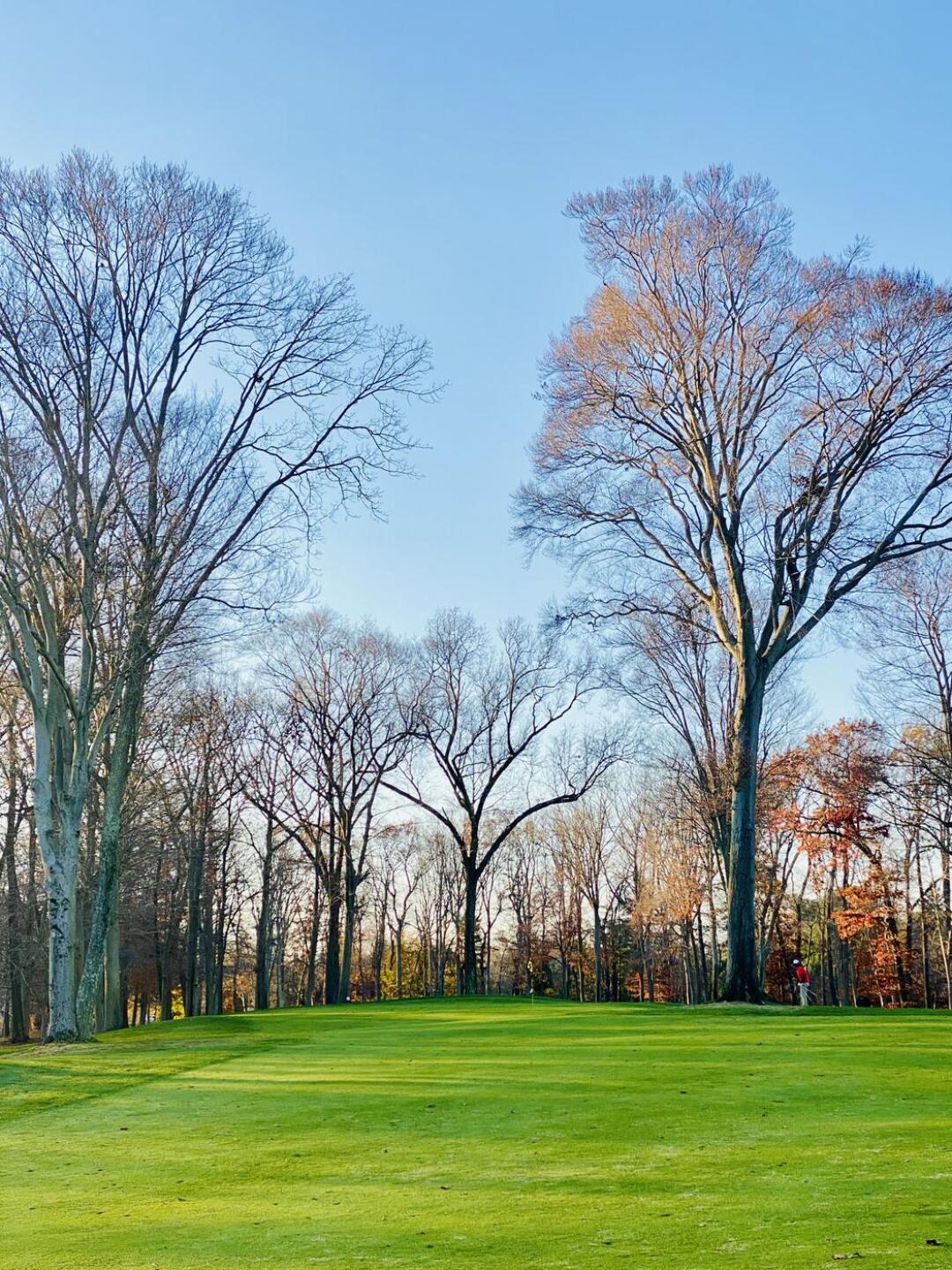 14th hole (Photo submitted by Joey6576753 on 11/15/2020)