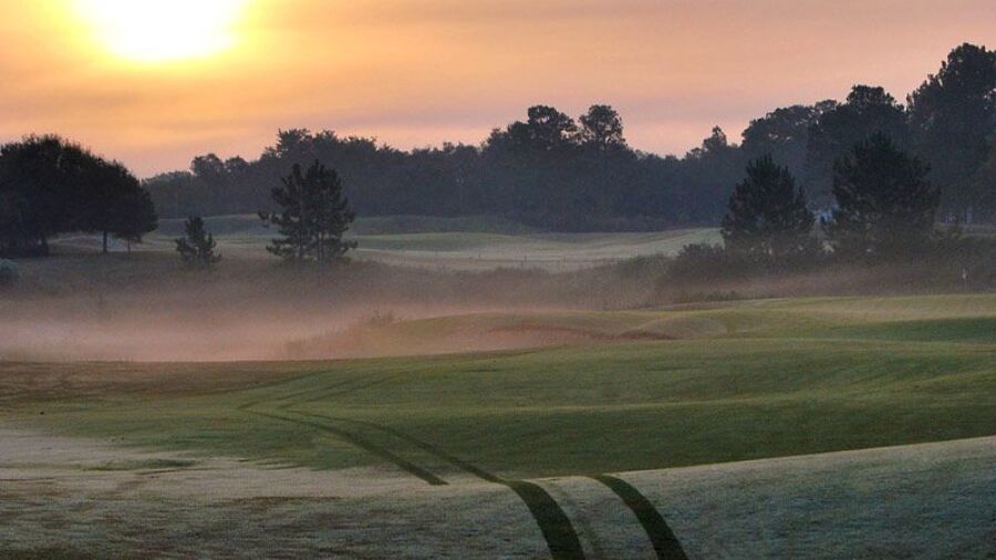 Black Bear GC