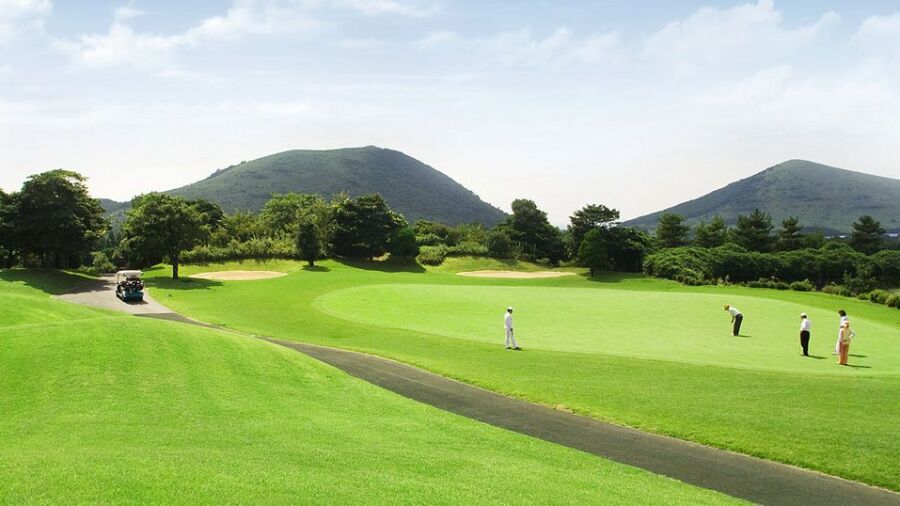 Castlex GC