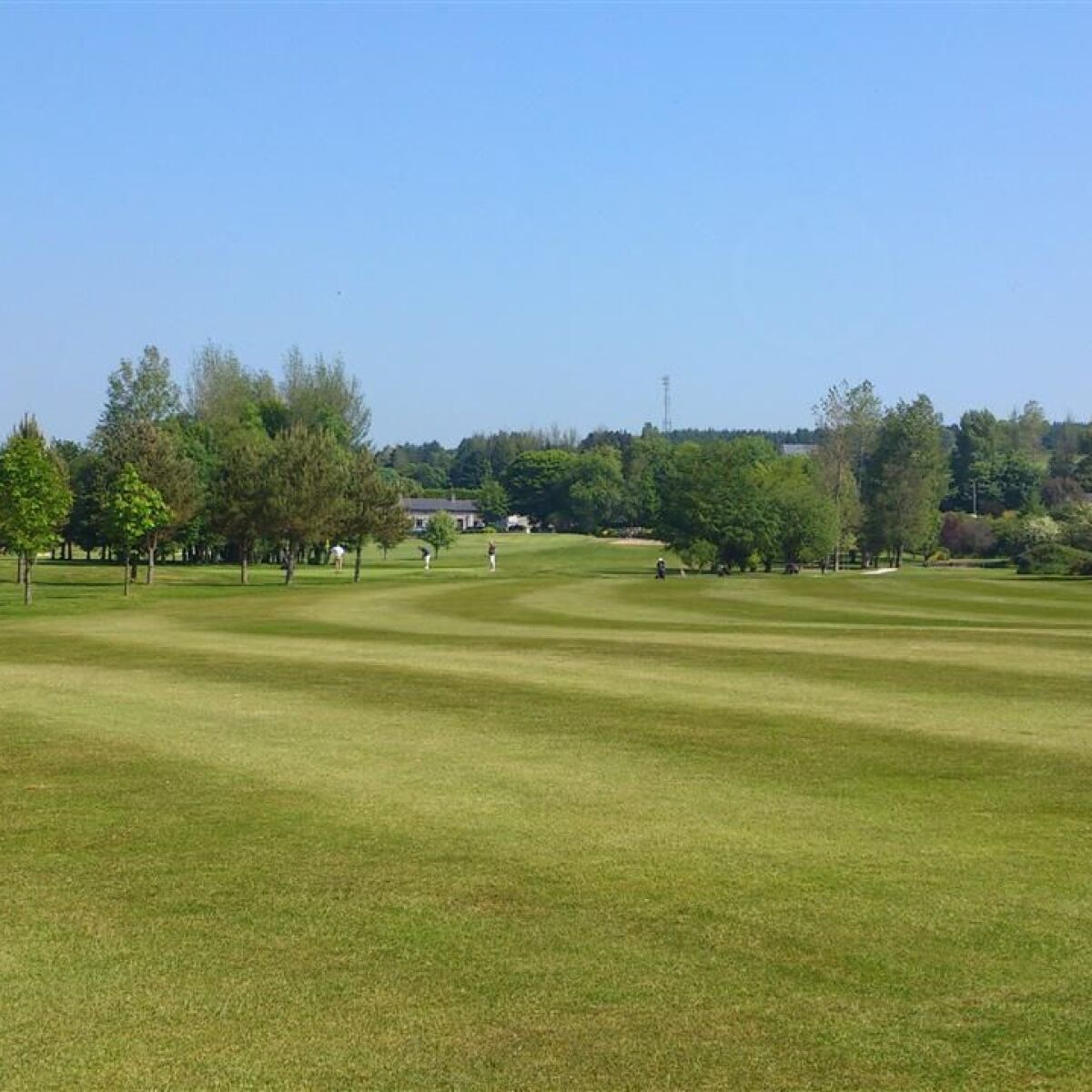 East Cork Golf Club in Midleton, County Cork, Ireland Golf Advisor