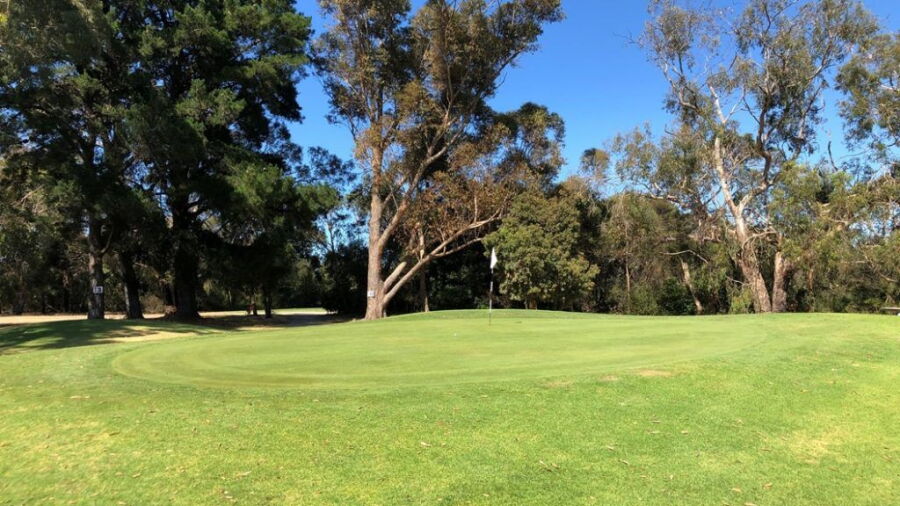 Cerberus GC: #2