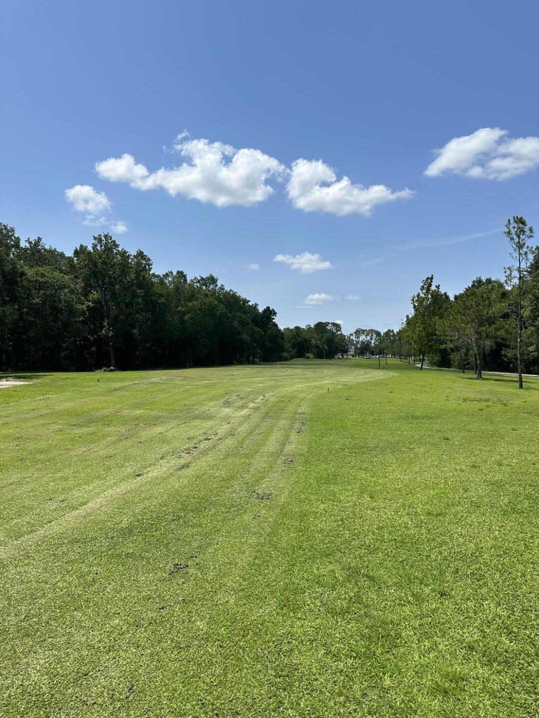 16th green (Photo submitted by Landsharkguy on 06/20/2023)