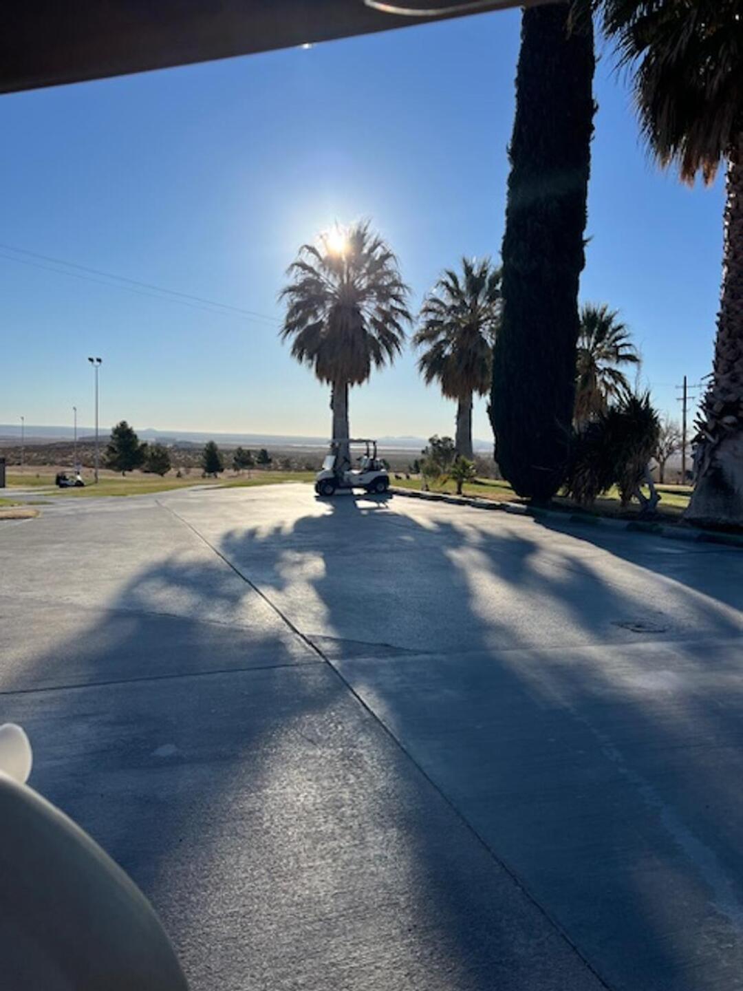 (Photo submitted by KYZMlxIKnv5U5eThIycB on 02/27/2025)