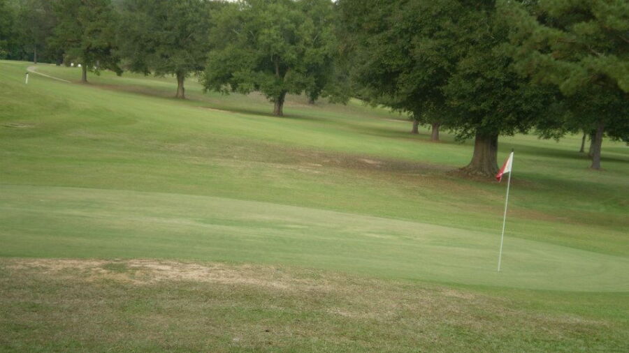 Simpson CC: #8