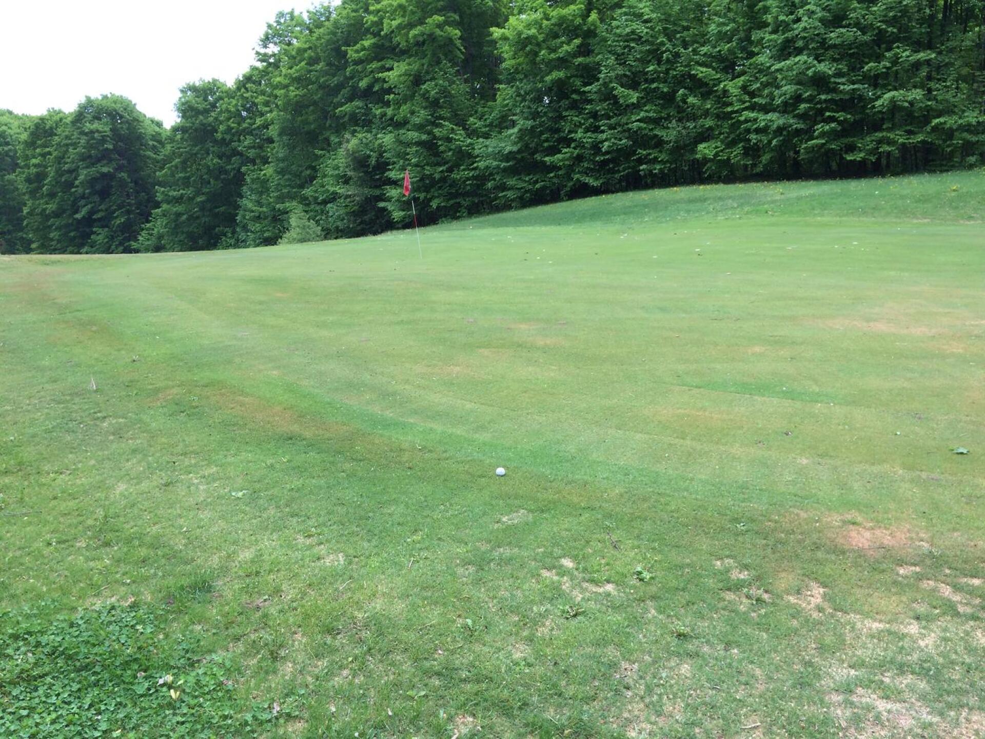 putting thru Anthills (Photo submitted by HOTSPOTTS on 06/12/2018)