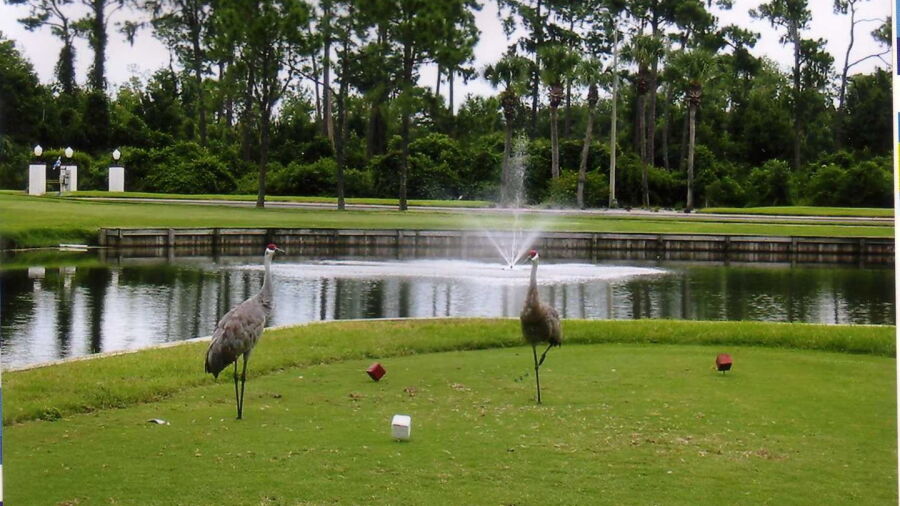 Sweetwater Golf & Tennis Club: #10