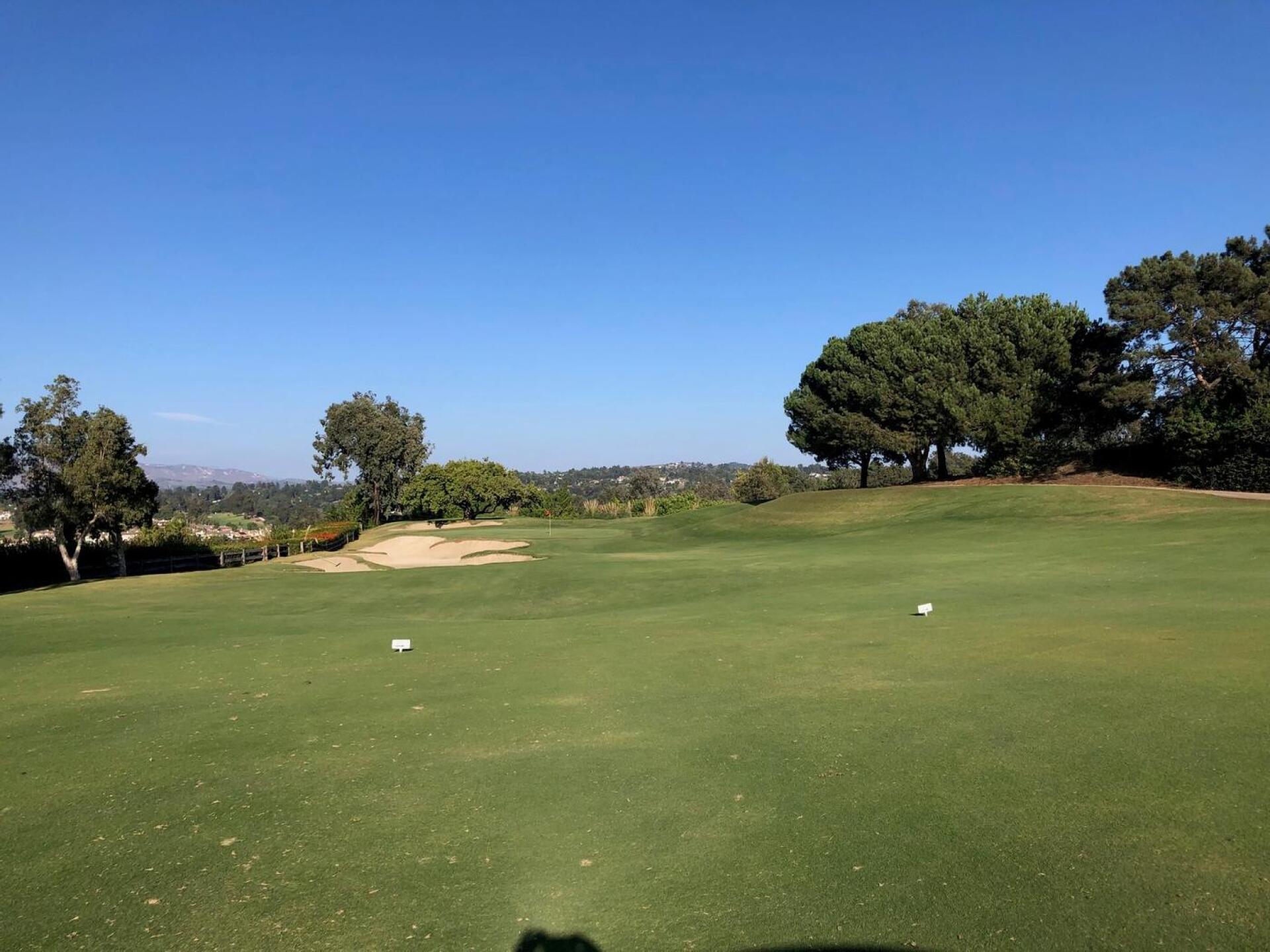 (Photo submitted by GRaleigh on 10/31/2023)