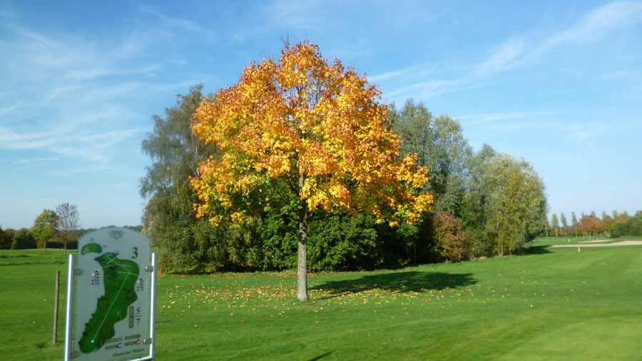 Coesfeld GCC