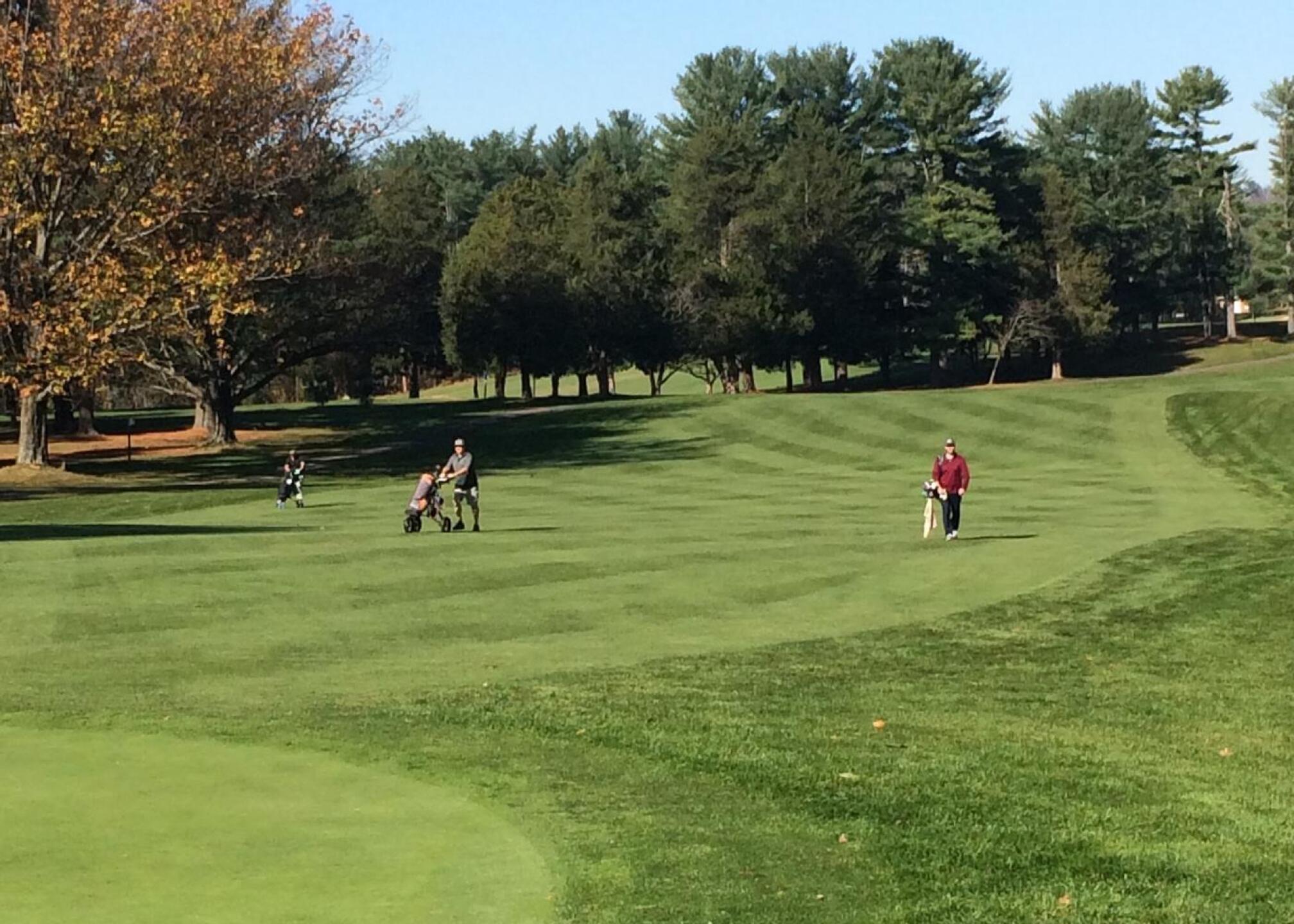 #1 (Photo submitted by jwnDLbCs1SVLjETCZtn7 on 11/12/2020)