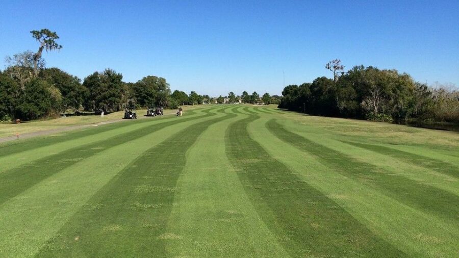 Summerfield Crossings GC