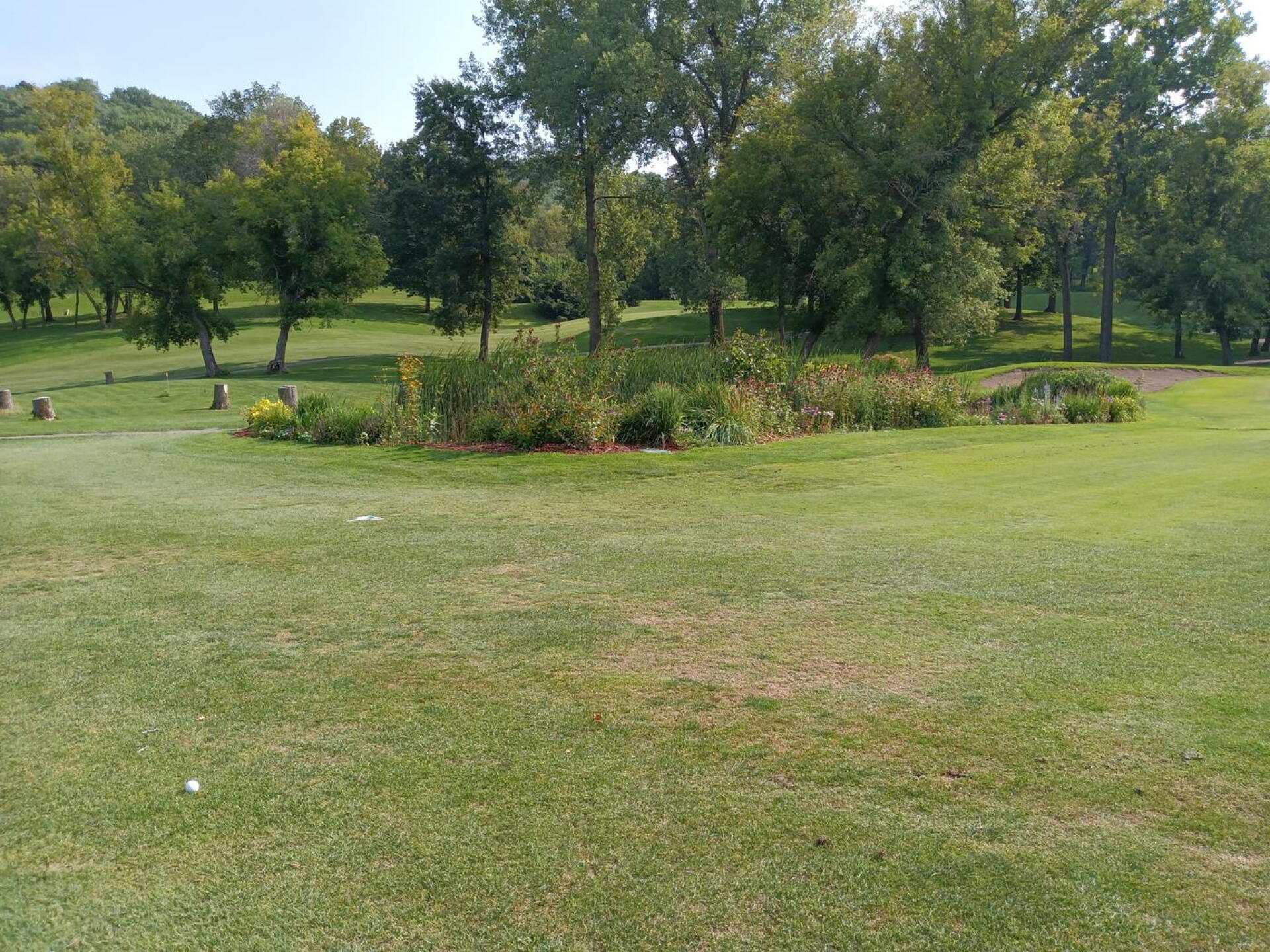 (Photo submitted by JimmySgolfs on 08/19/2023)