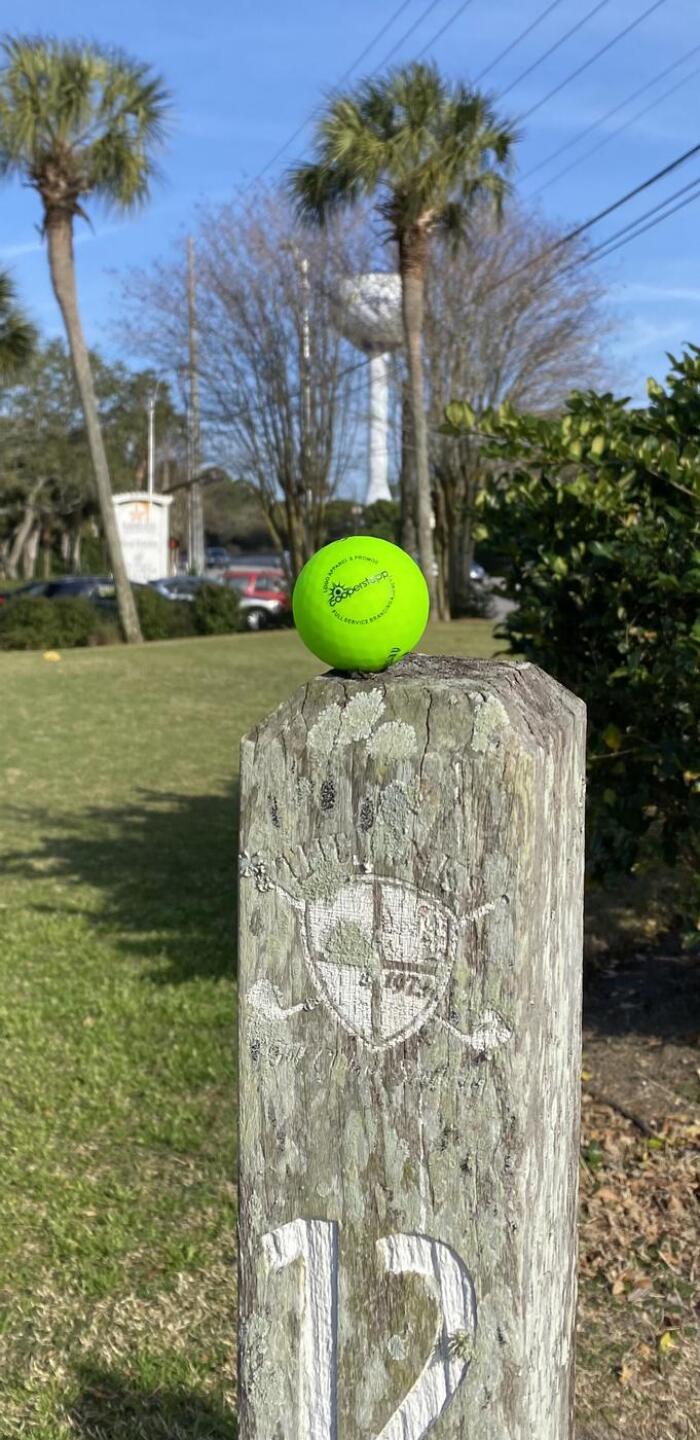 (Photo submitted by Debra7389525 on 03/10/2021)