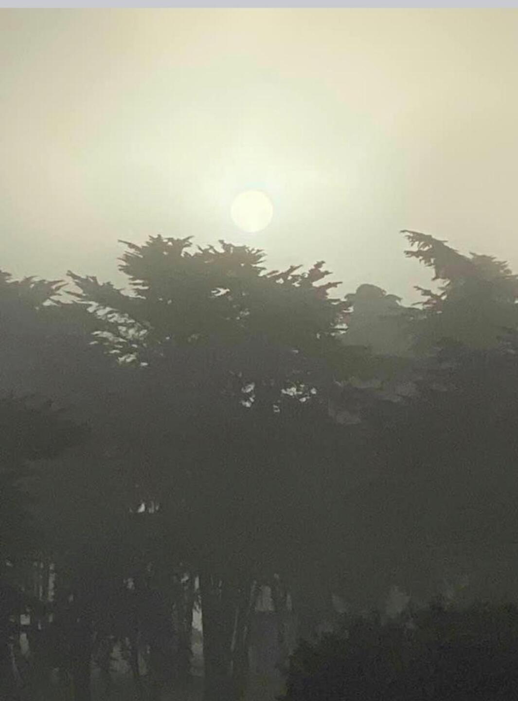 Nice cool morning (Photo submitted by Wally7294309 on 11/20/2019)