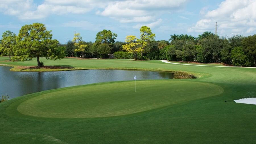 Bear's Paw CC