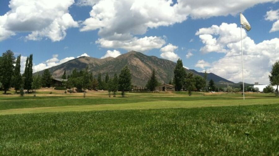 Timberline Short Nine