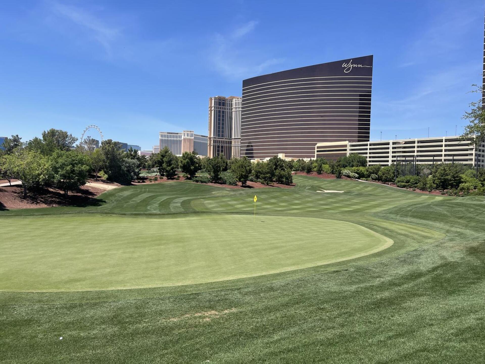 (Photo submitted by u314159839478 on 06/03/2024)