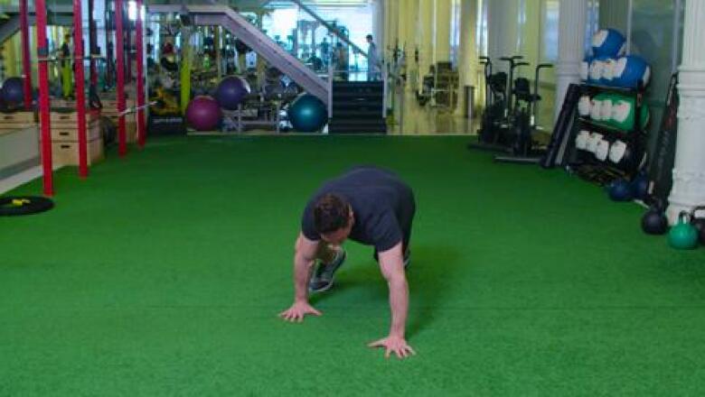 Bear Crawls