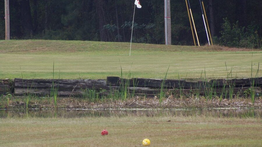 Walker Creek GC: #2