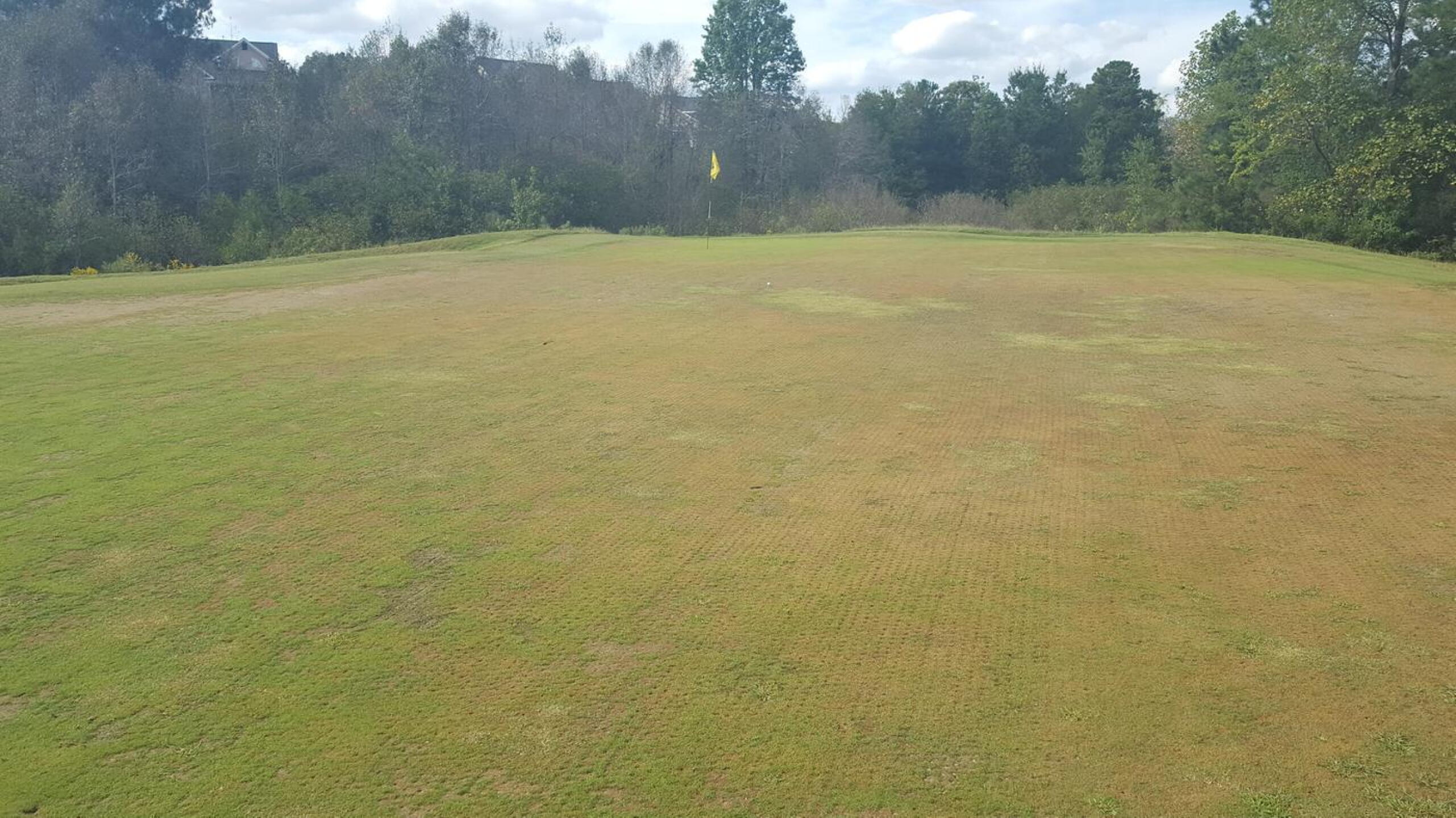 green....I guess? (Photo submitted by ShannonSheltonEA on 10/03/2018)