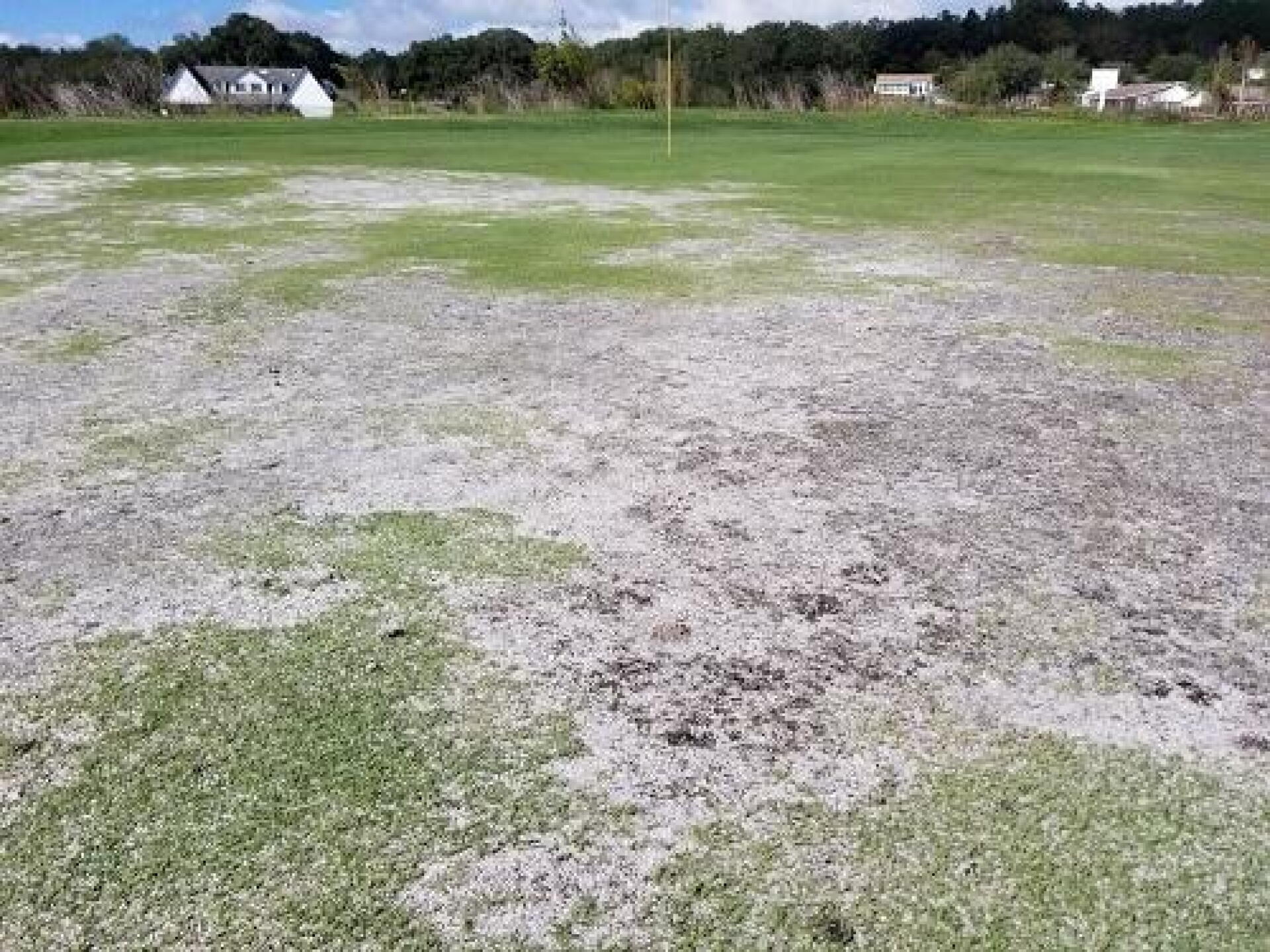 18th Green (Photo submitted by 23GreyGhost45 on 11/09/2019)