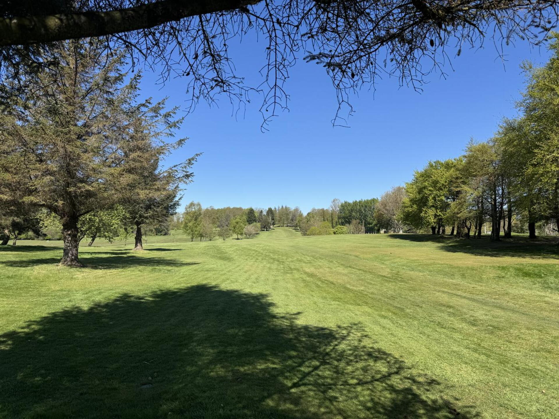 (Photo submitted by MackLunderstonGolfin on 05/01/2026)