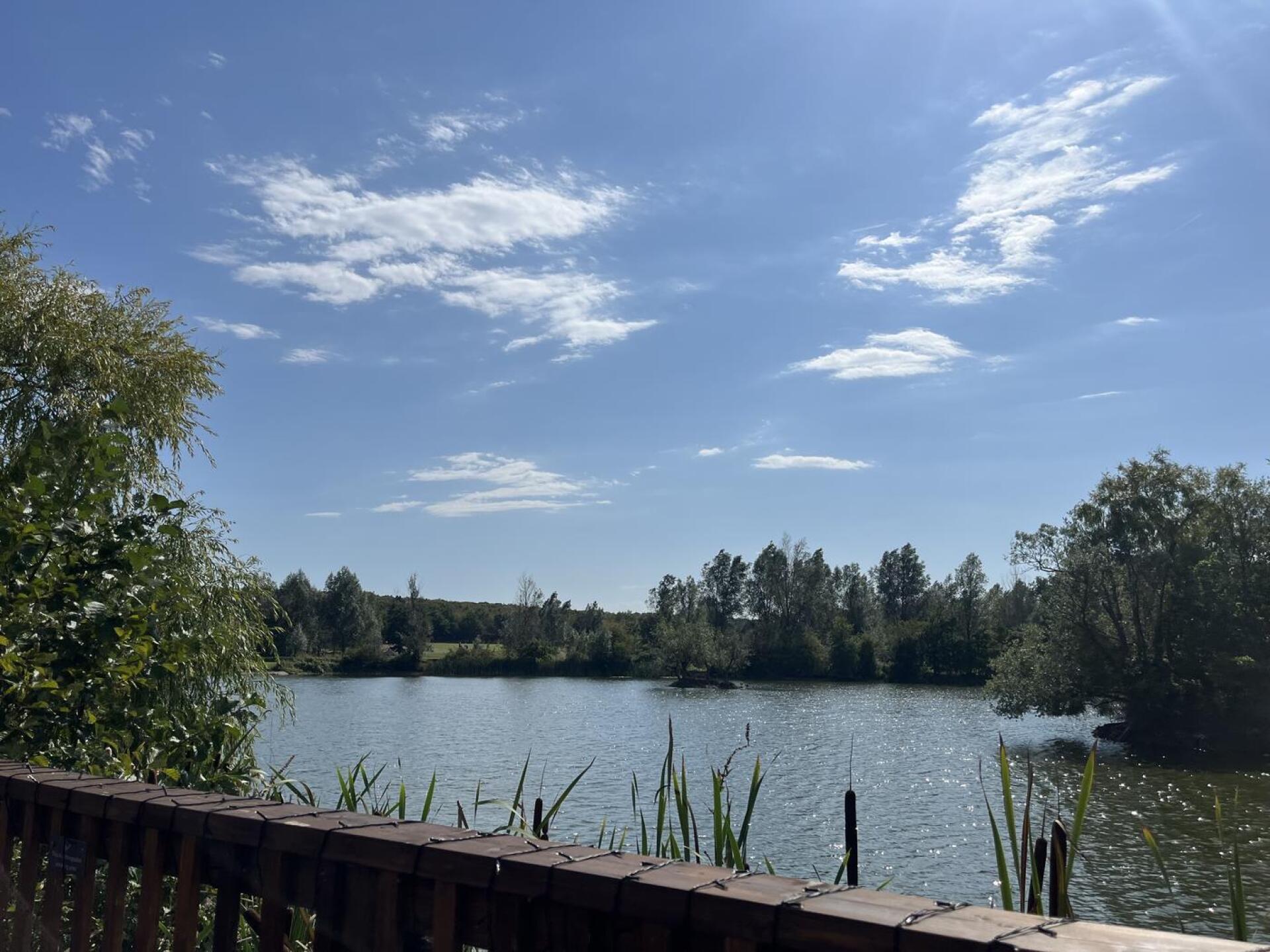 Lakeside lunch (Photo submitted by jasper666 on 09/11/2025)