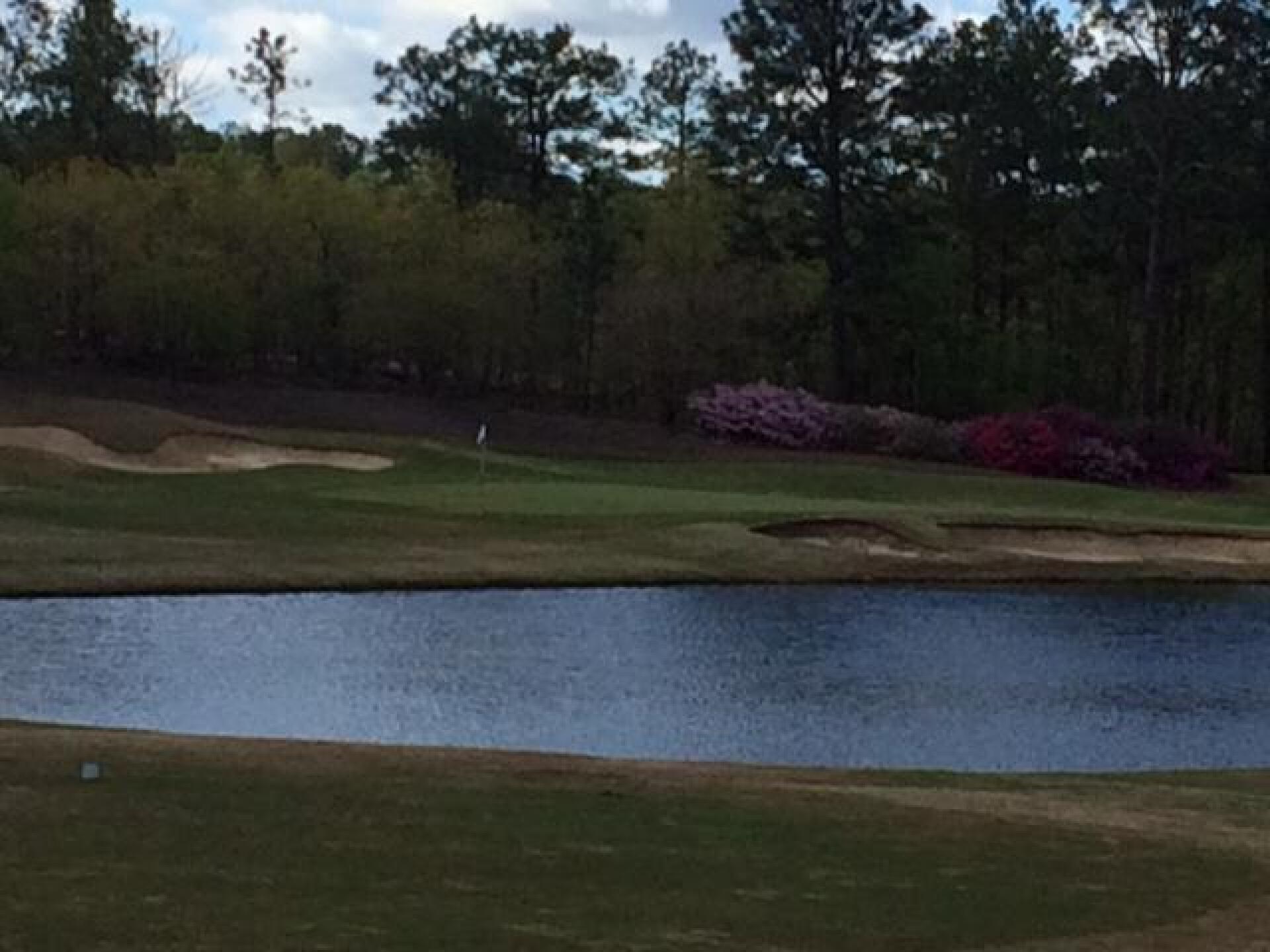 (Photo submitted by Mashie1490 on 04/12/2017)